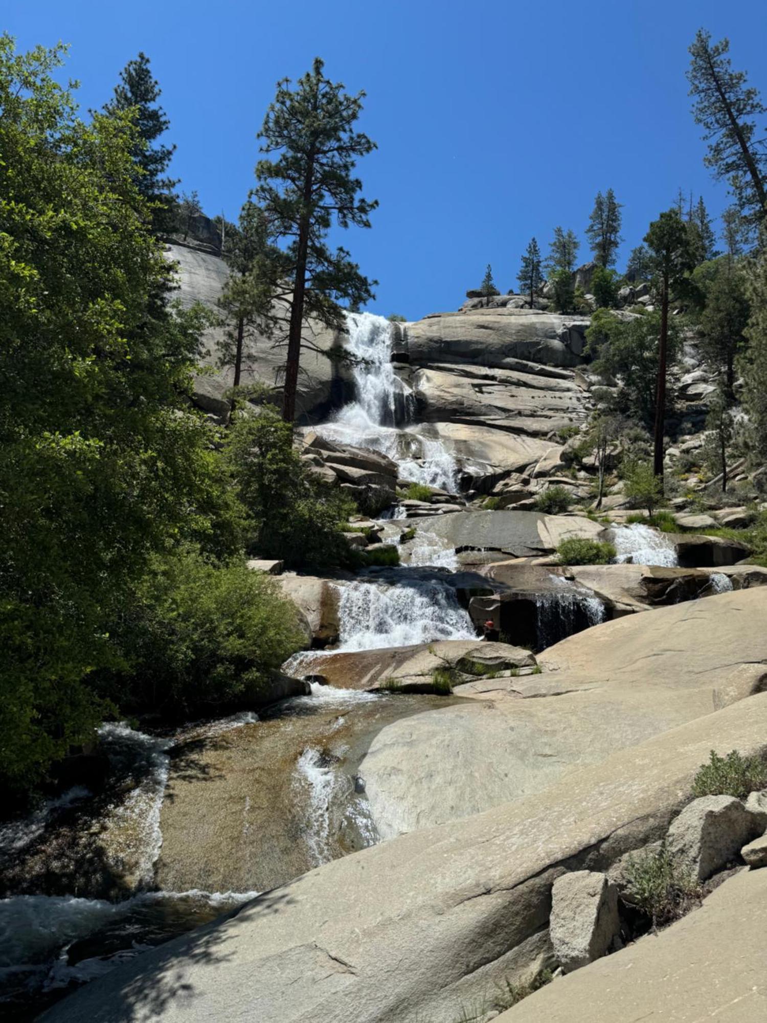 Peppermint Falls Ranch Ponderosa Exterior foto